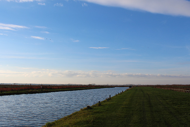 Staithe near Thurne, Norfolk