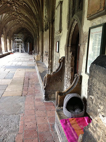 cat bed in the cloister