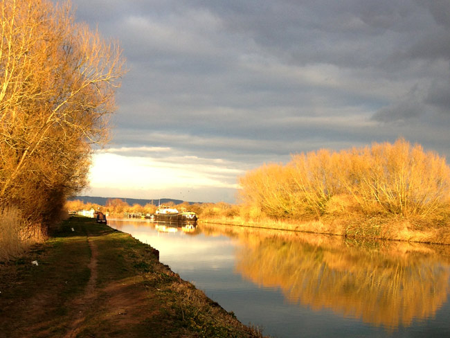 Evening light on canal towpath