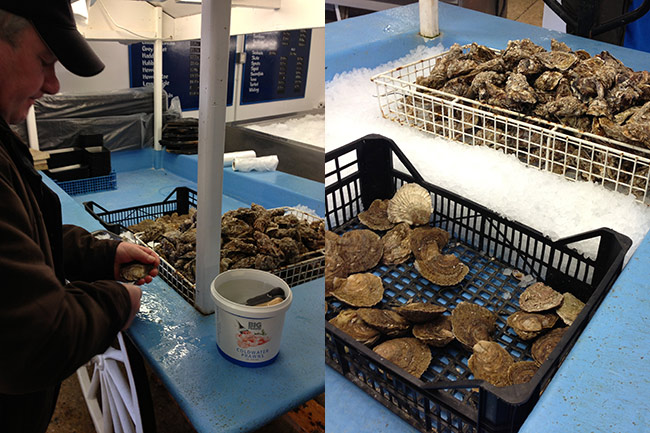 oyster bar in Whitstable market