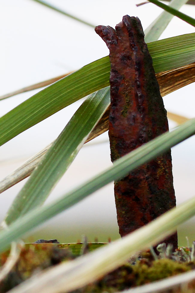 Peg with grass, Purton Hulks
