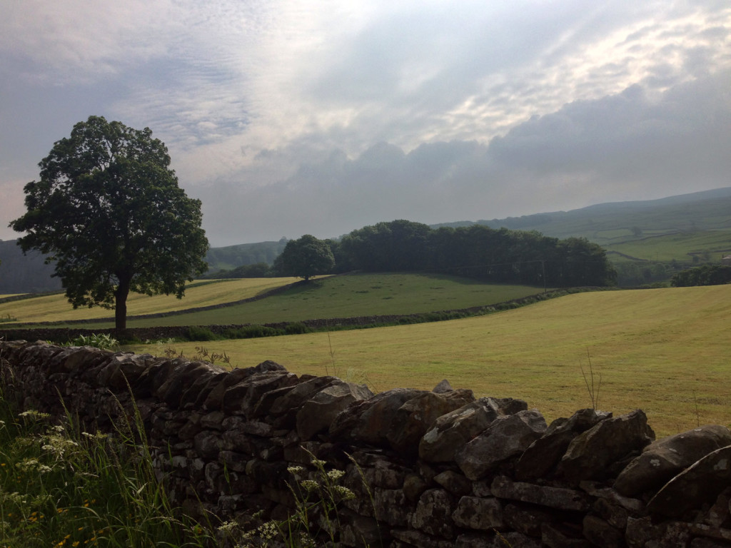 view of farmland in Ribblesdale