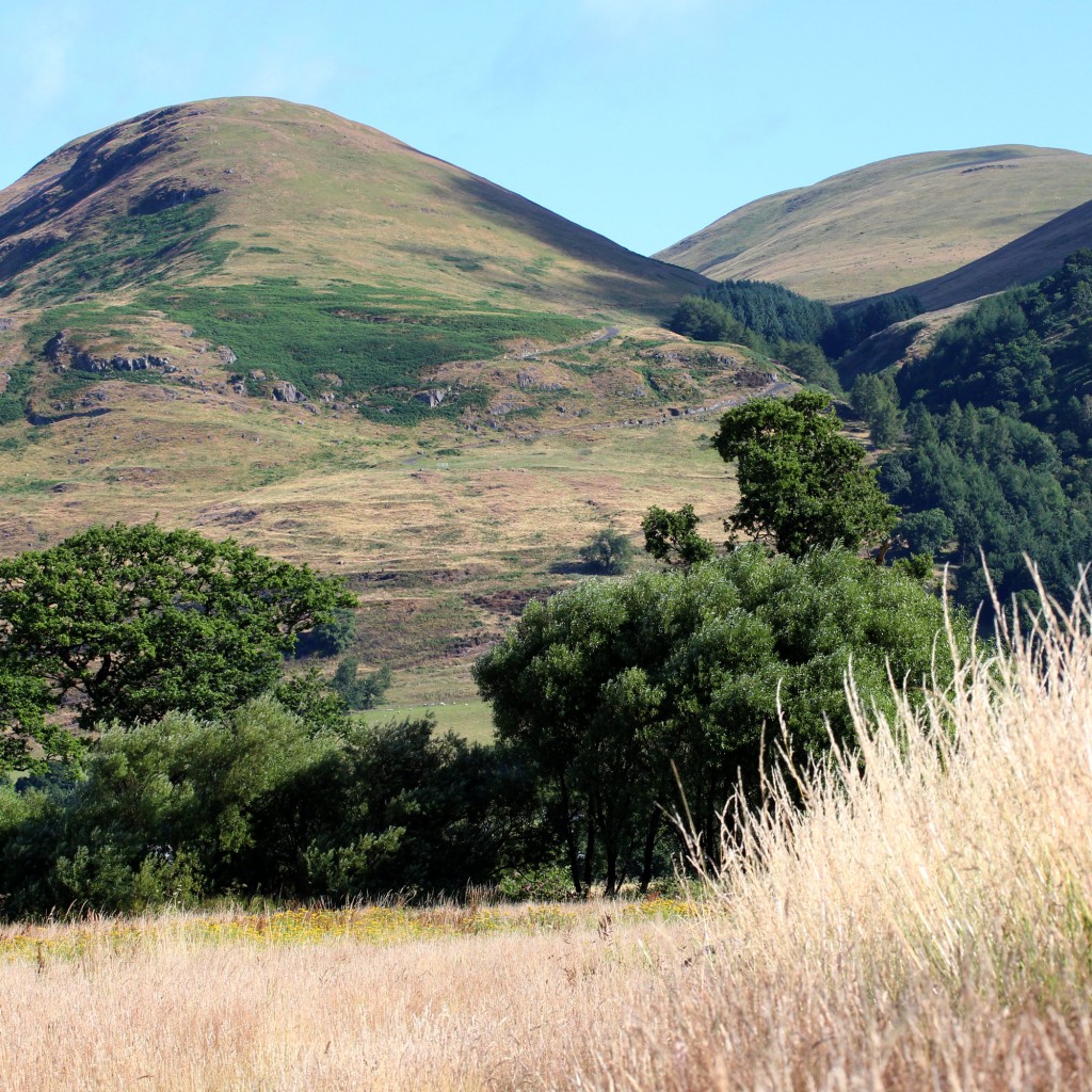 the meadow below the Ochil Hills