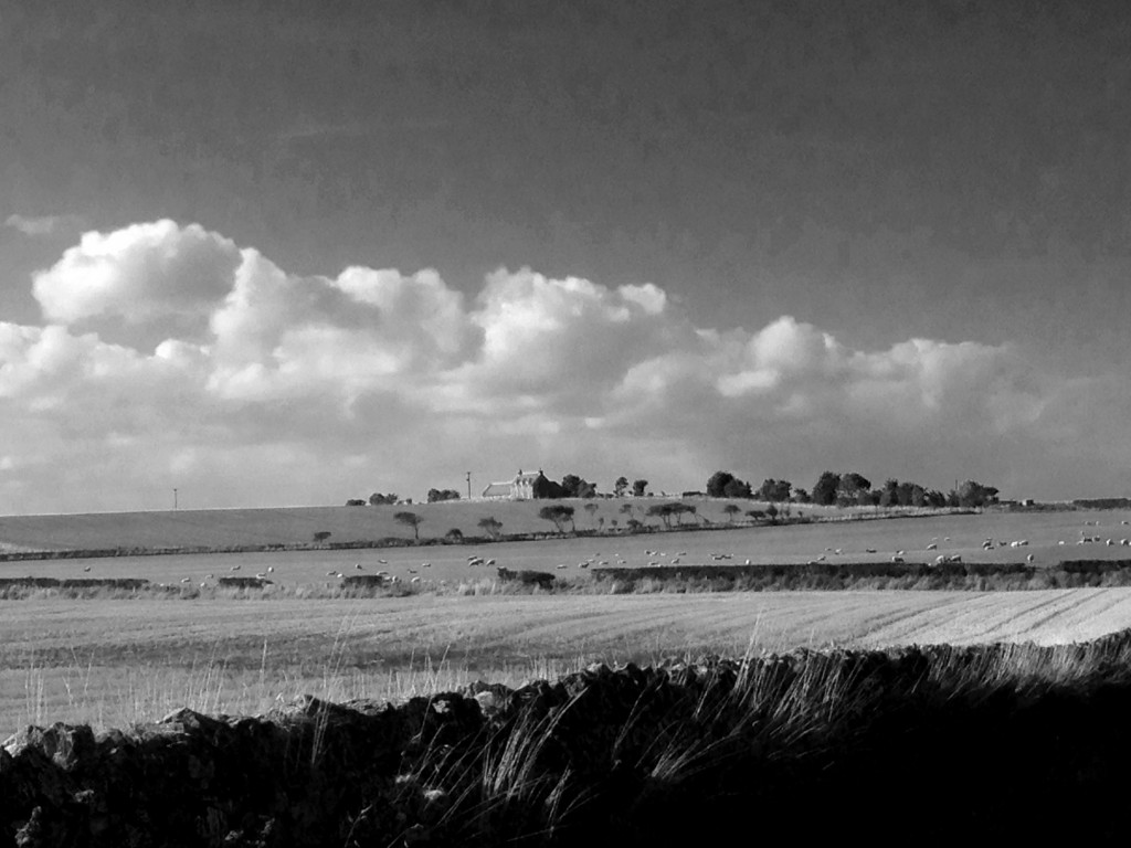 rural landscape near Bamburgh